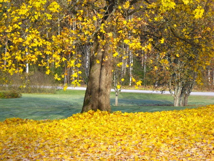 Loennen
