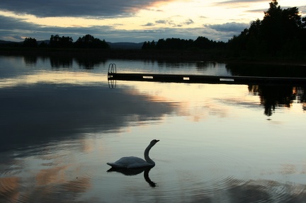 Sollerön0611 24