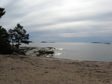 IMG 0017