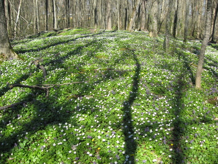 Ekenäs 010512 2