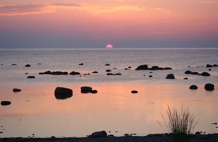 Gotland 14 (31)