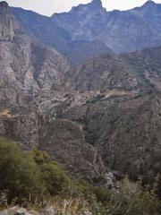 USA 87 (41)