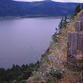 USA 90 (14)