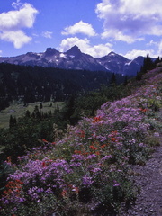 USA 90 (25)