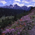 USA 90 (25)