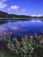 USA 90 (26)