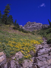 USA 90 (46)