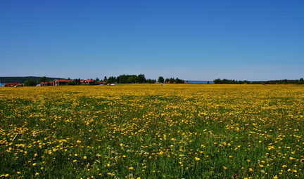 Siljanäs 16 (4)
