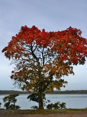 Ekenäs (3)