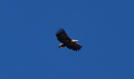 Hangö 060417 26
