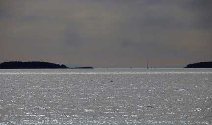 Lappvik 080417 (18)