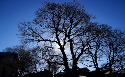 Ekenäs 290318 (13)