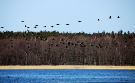 Ekenäs 070418 (5)