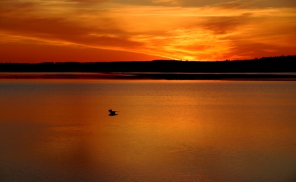 Ekenäs 130518 (3)