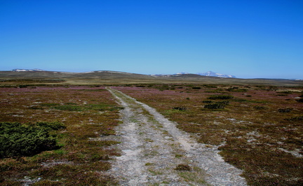 Resa 18 (35)
