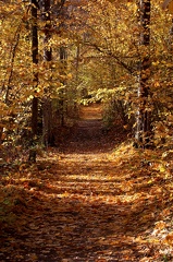 Ekenäs 141018 (5)