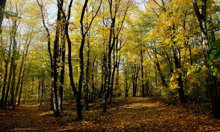Ekenäs 141018 (7)