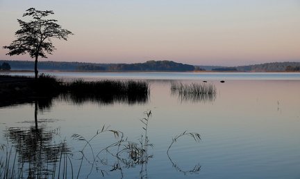 Ekenäs 010919 (20)