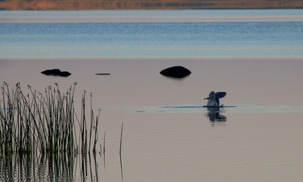 Ekenäs 010919 (21)