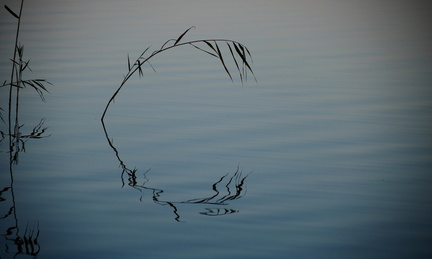 Ekenäs 010919 (22)