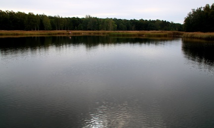 Ekenäs