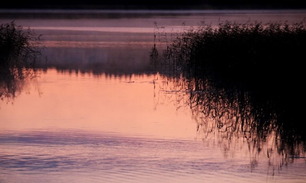 Ekenäs 200919 (1)