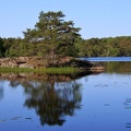 Dalsbruk 240523 (1)