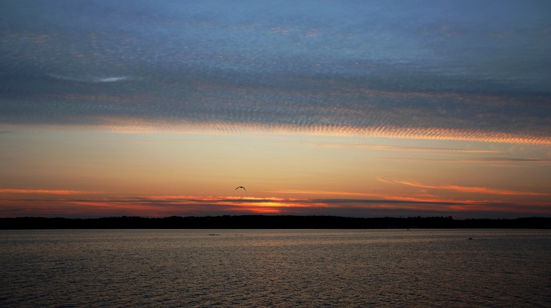 Ekenäs_240523 (1).JPG