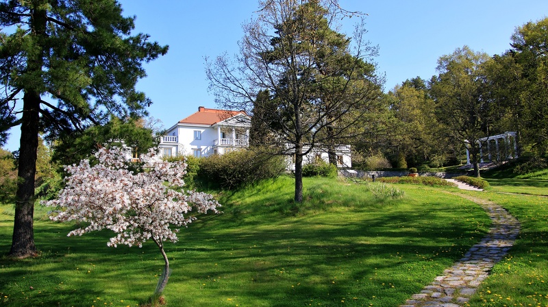Söderlångvik_240523.JPG