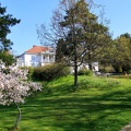 Söderlångvik 240523