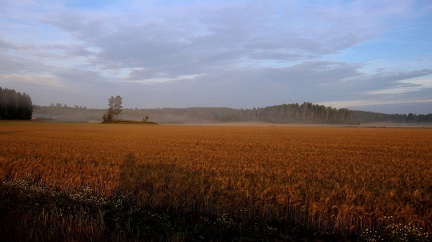 Ekerö 060823 (4)