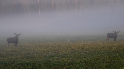 Prästkulla 130823 (24)