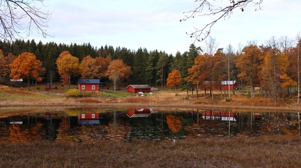 Bromarv 081123 (21)