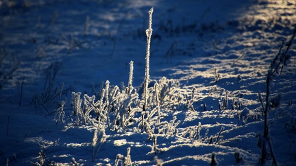 Öby 06.12 2023 (1)