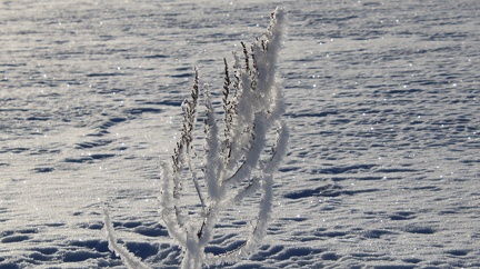 Pojo 260124 (4)
