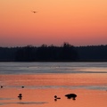 Ekenäs 030324 (6)
