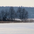 Ekenäs 03032024 (2)