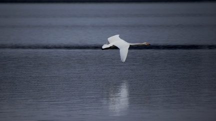 Ekenäs 190324 (16)