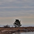 Hangö 250324 (2)