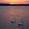 Ekenäs 010424 (4)