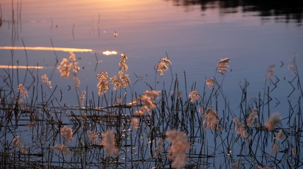 Ekenäs 090524 (3)