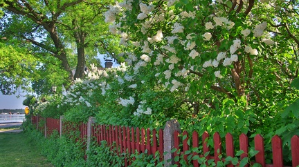 Ekenäs 290524 (7)