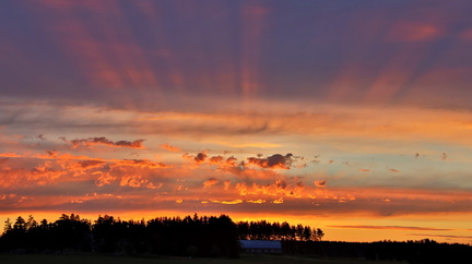 Prästkulla 070724 (5)