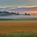 Prästkulla 040824 (17)