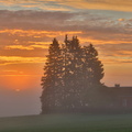 Prästkulla 040824 (20)