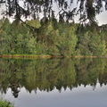 Ingå-250824 (16)
