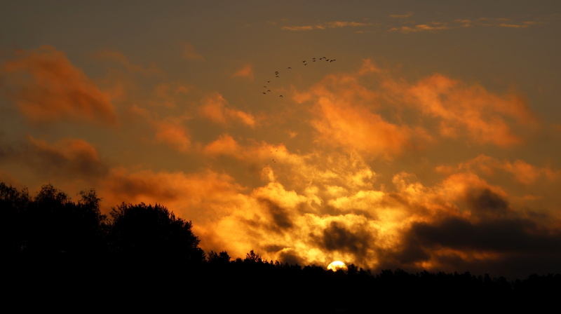 Snappertuna_250824 (22).JPG