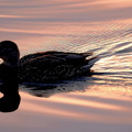 Ekenäs 030924 (4)