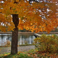 Ekenäs 141024 (2)