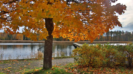 Ekenäs 141024 (2)